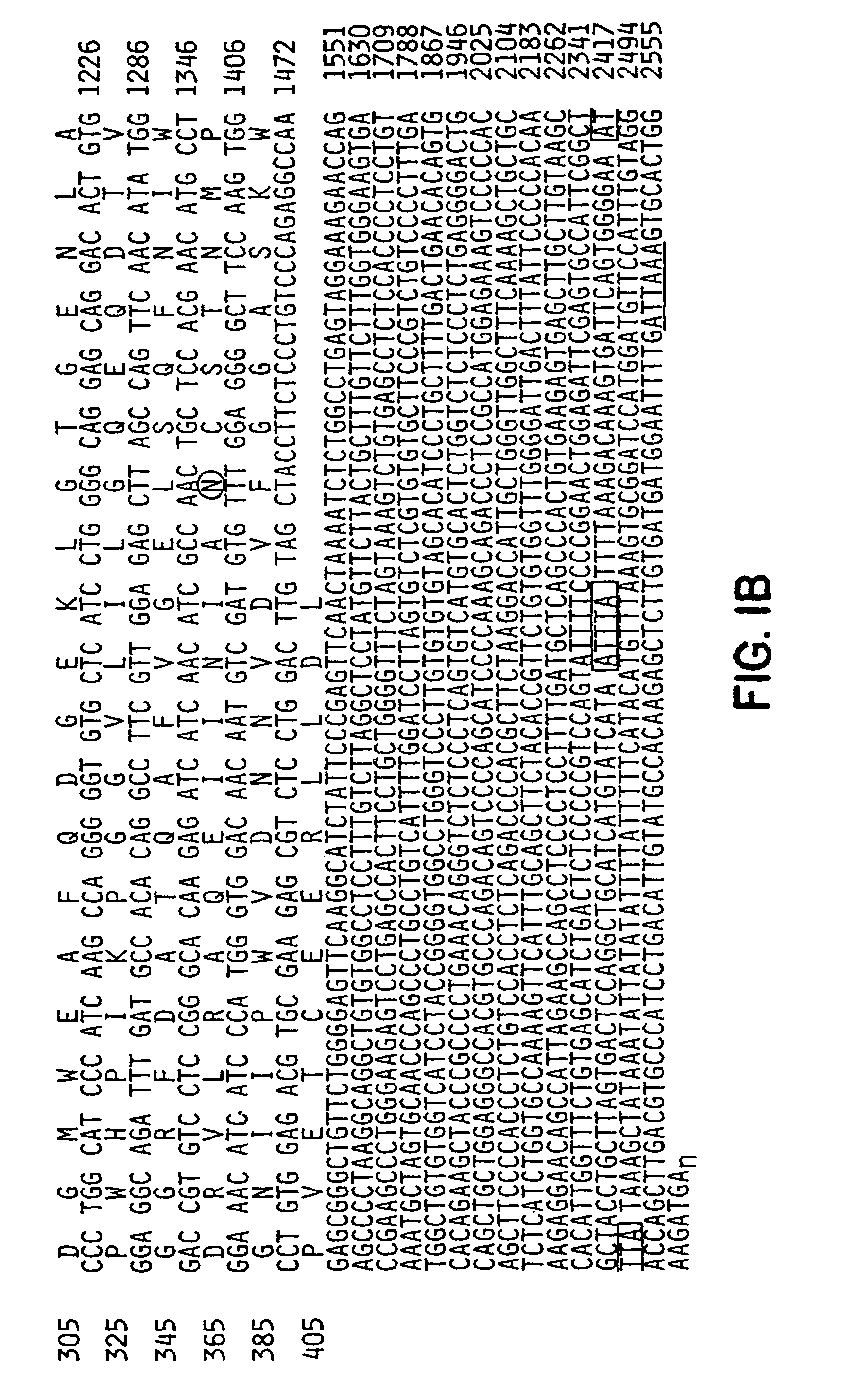 Method for identifying compounds which affect ionotropic glutamate receptor aggregation