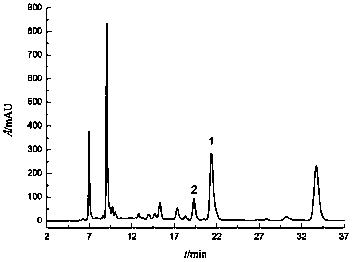 Method for preparing salvianolic acid B and rosmarinic acid by adopting high-speed counter-current chromatography separation and purification process
