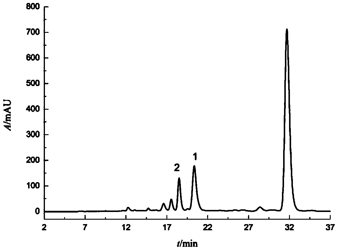 Method for preparing salvianolic acid B and rosmarinic acid by adopting high-speed counter-current chromatography separation and purification process