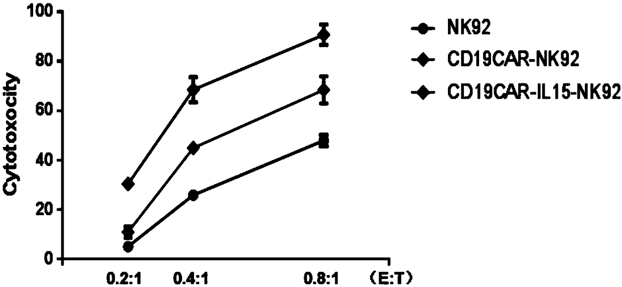 A chimeric antigen receptor NK cell and a preparation method and an application thereof