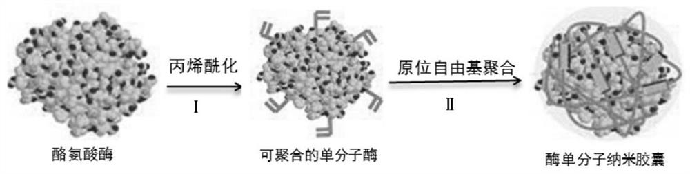 Preparation method and application of electrochemical sensor based on tyrosinase nanocapsule