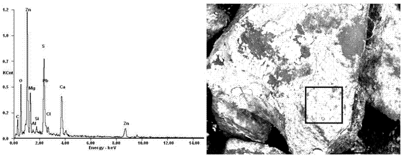 Experiment method for studying element migration mechanism in hydrothermal solution type lead-zinc deposit