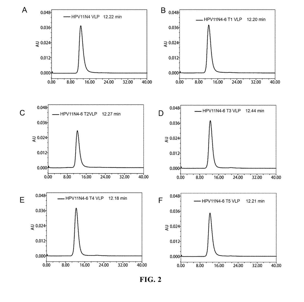 Mutant of L1 Protein of Human Papillomavirus Type 11