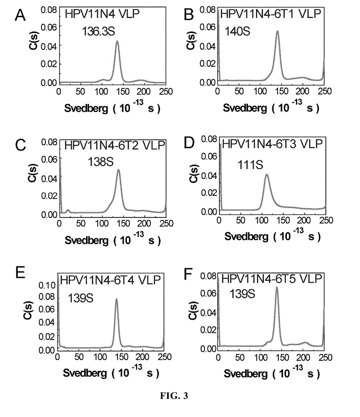 Mutant of L1 Protein of Human Papillomavirus Type 11