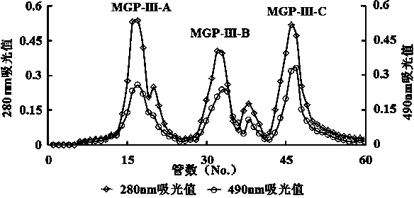 Prostatic cancer-resistant mussel glycoprotein and preparation and application thereof