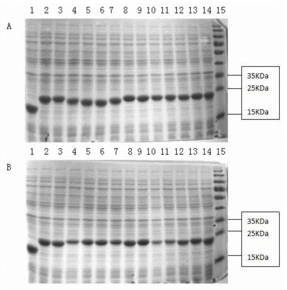 Epitope minimum motif peptide of P1, VP2 and VP4 structural proteins in type O foot and mouth disease virus (FMDV) strain (O/BY/CHA/2010) and application of epitope minimum motif peptide