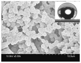 A method for preparing superhydrophobic microporous membranes by synergistically regulating phase separation with aqueous inorganic salt solution