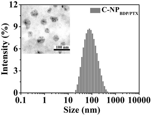 Preparation and application of red light induced singlet oxygen response polymer nano anti-cancer drug