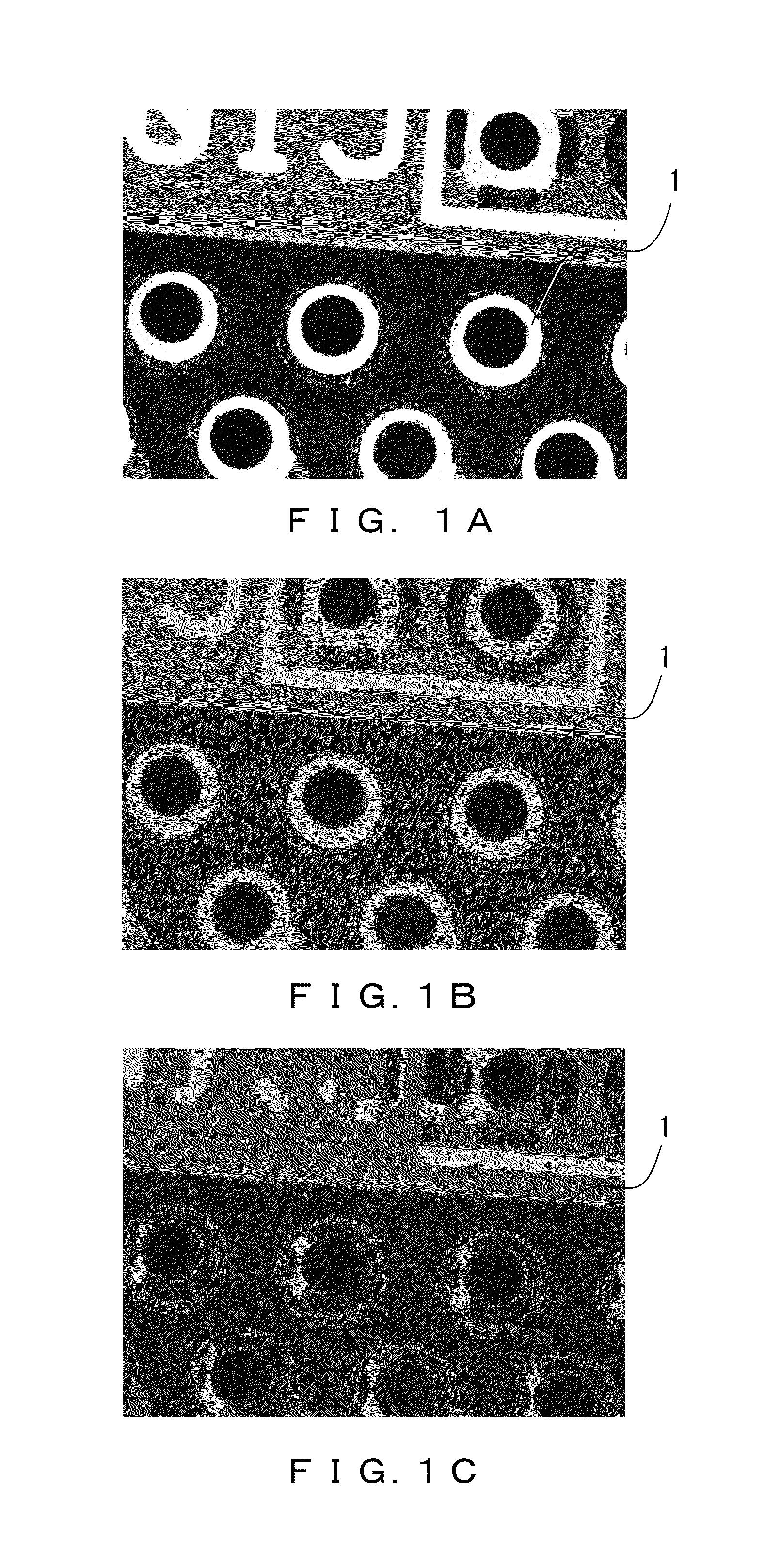 Image processing apparatus, microscope system, and recording medium