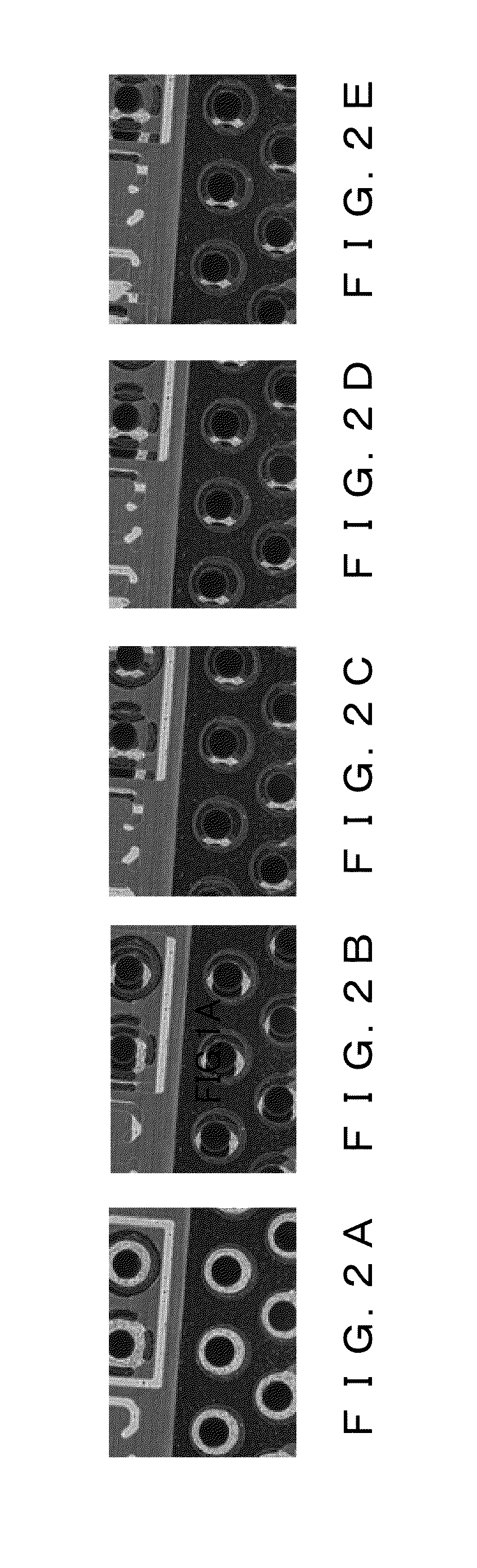 Image processing apparatus, microscope system, and recording medium