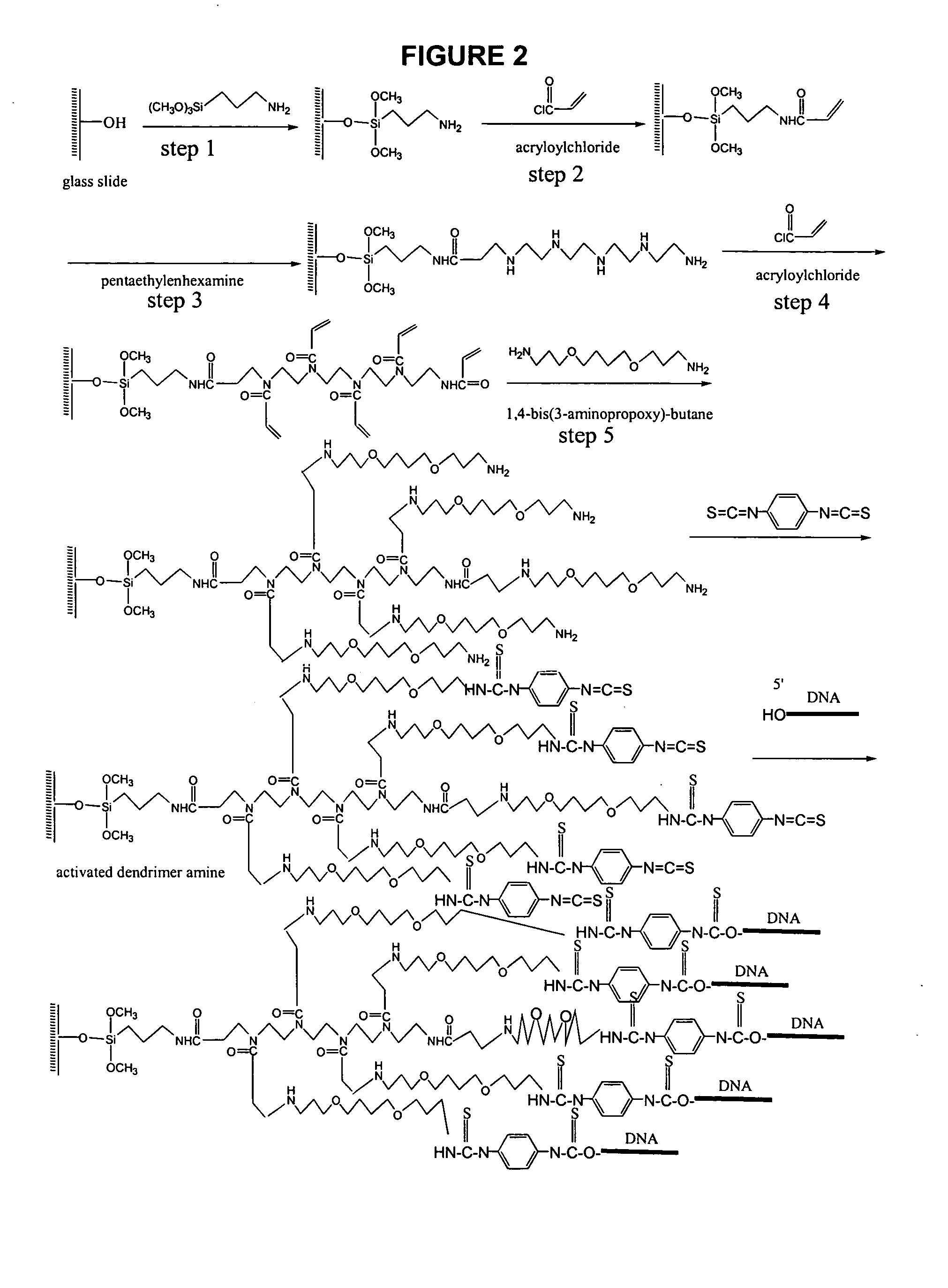 Compositions and methods using dendrimer-treated microassays