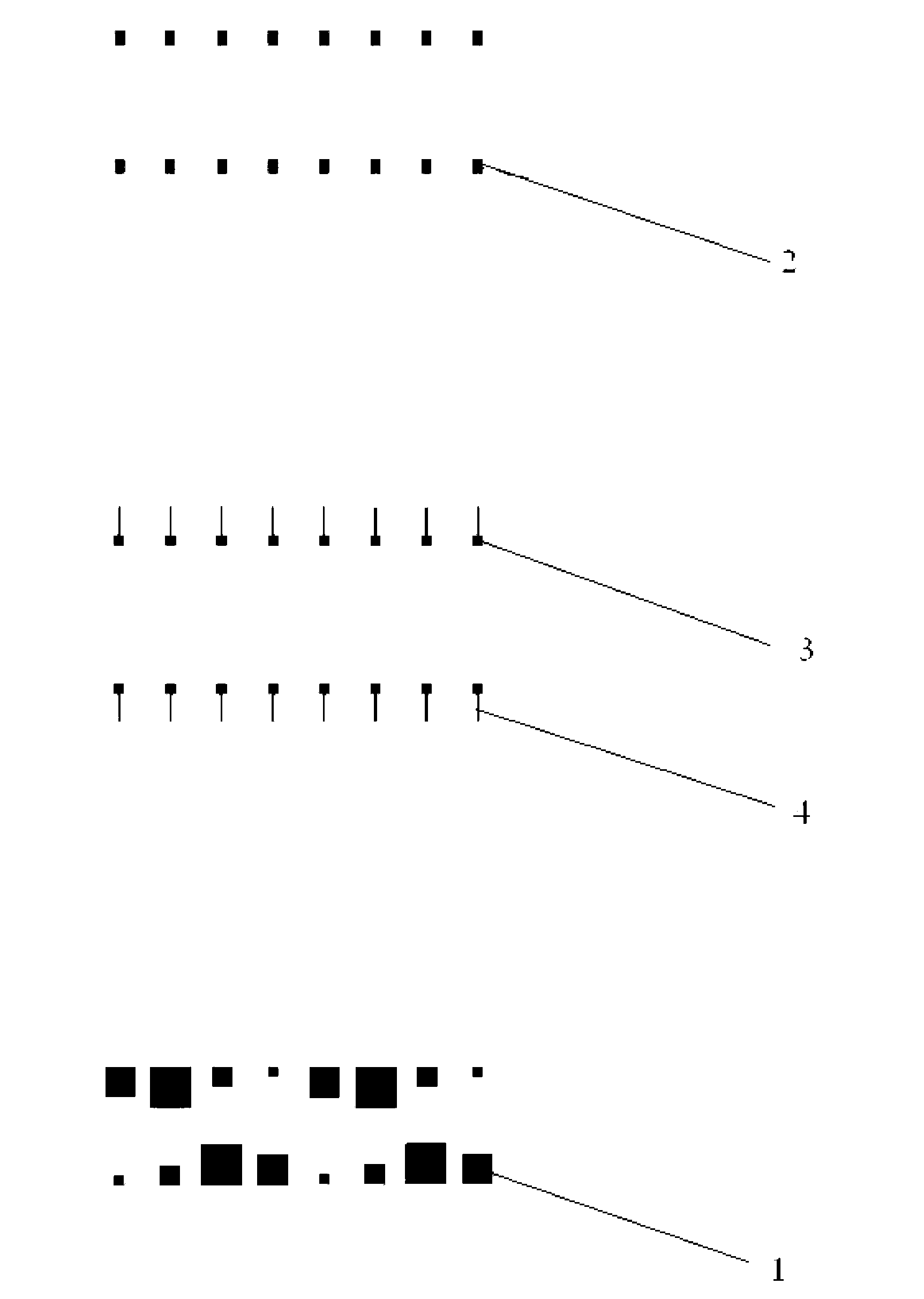 Microfluidic chip allowing different cell-density arrangement and use thereof