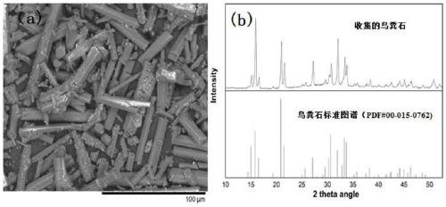 Method for preparing struvite by treating nitrogen and phosphorus-containing wastewater with rice husk carbon