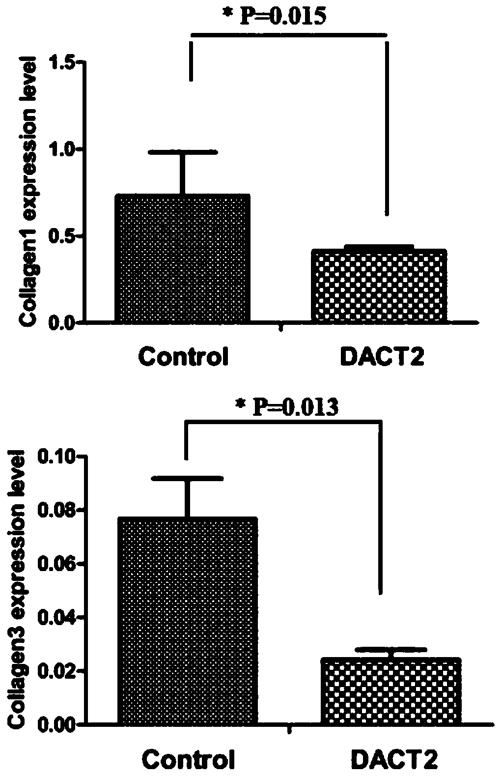 Application of DACT2 gene in preparation of product for diagnosis and treatment of atrial fibrillation