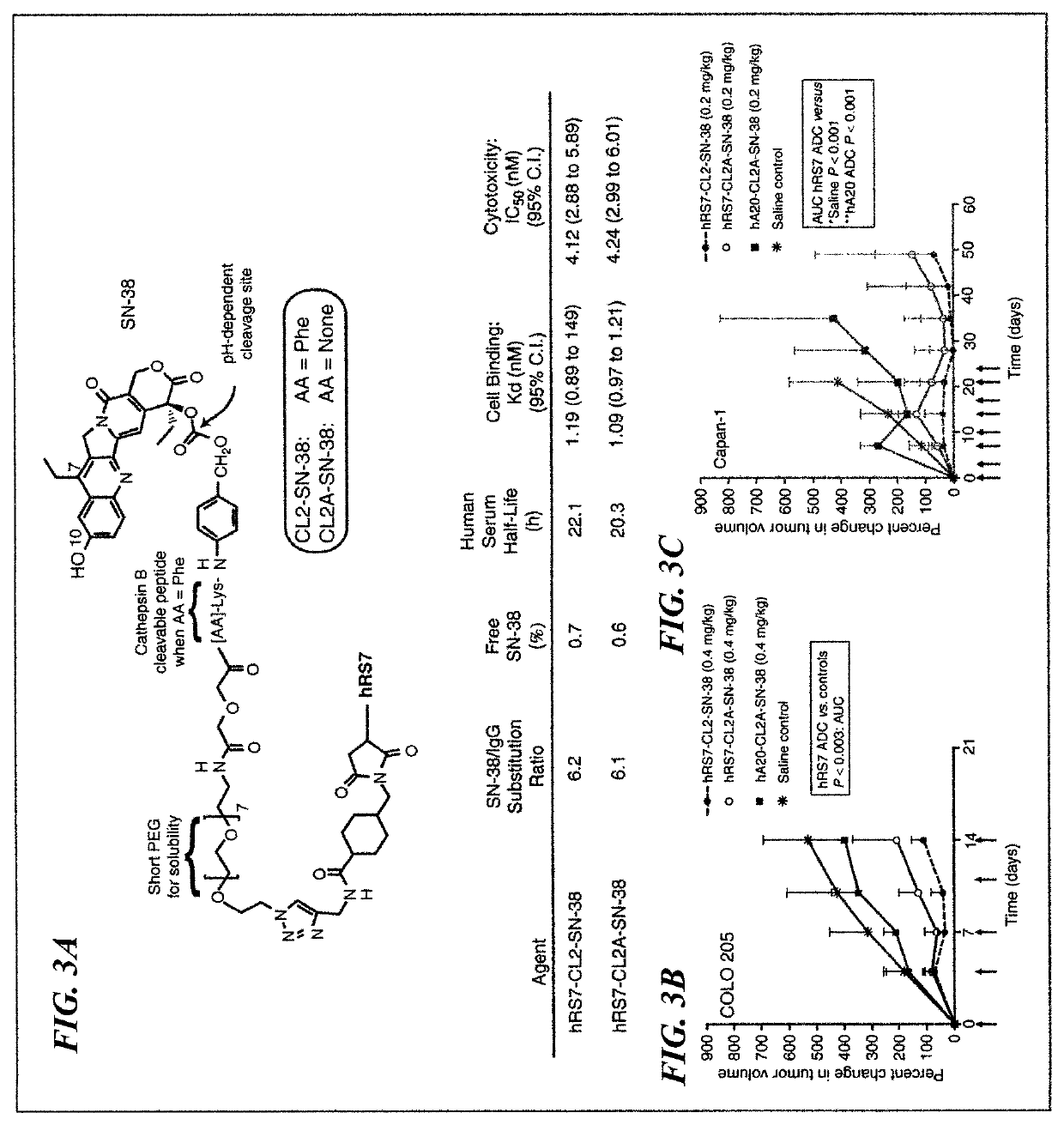 Therapy of small-cell lung cancer (SCLC) with a topoisomerase-I inhibiting antibody-drug conjugate (ADC) targeting Trop-2