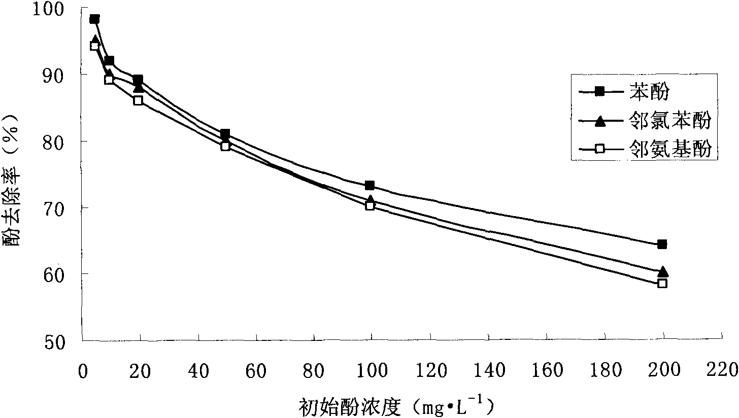 Method for separating out phenols substances in water by catalytic oxidation with enzyme-carrying silicon-based mesoporous molecular sieve SBA-15