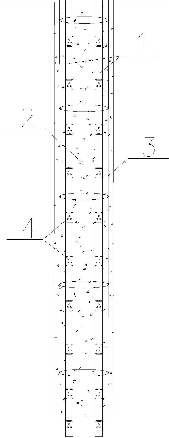 Pile body longitudinal multipoint grouting device