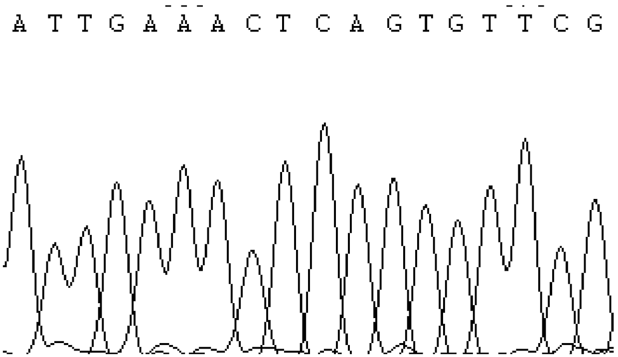 Detection method using prss2 gene as molecular marker of milk protein content