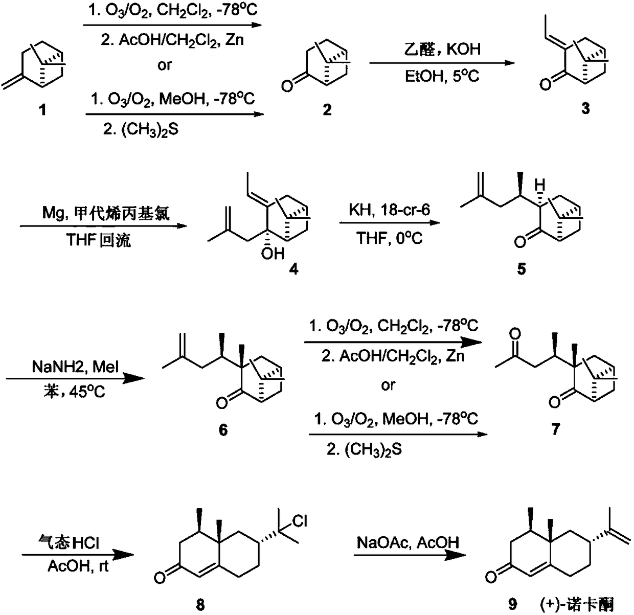 Reaction sequence for the synthesis of nootkatone, dihydronootkatone, and tetrahydronootkatone