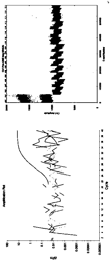 PCR detection method of enterohemorrhagic escherichia coli in vegetables