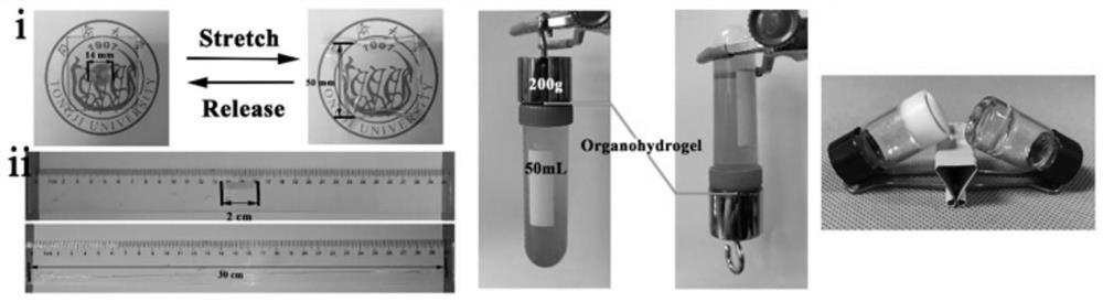 A weather-resistant oil-water mixed gel platform and its preparation method and application