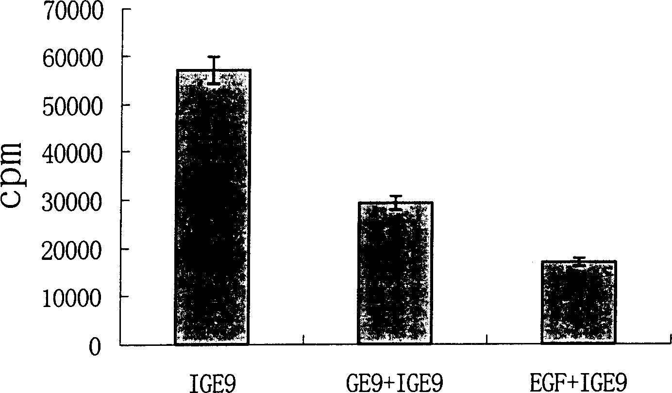 Ligand oligopeptide specific combining human epidermal growth factor receptor EGFR