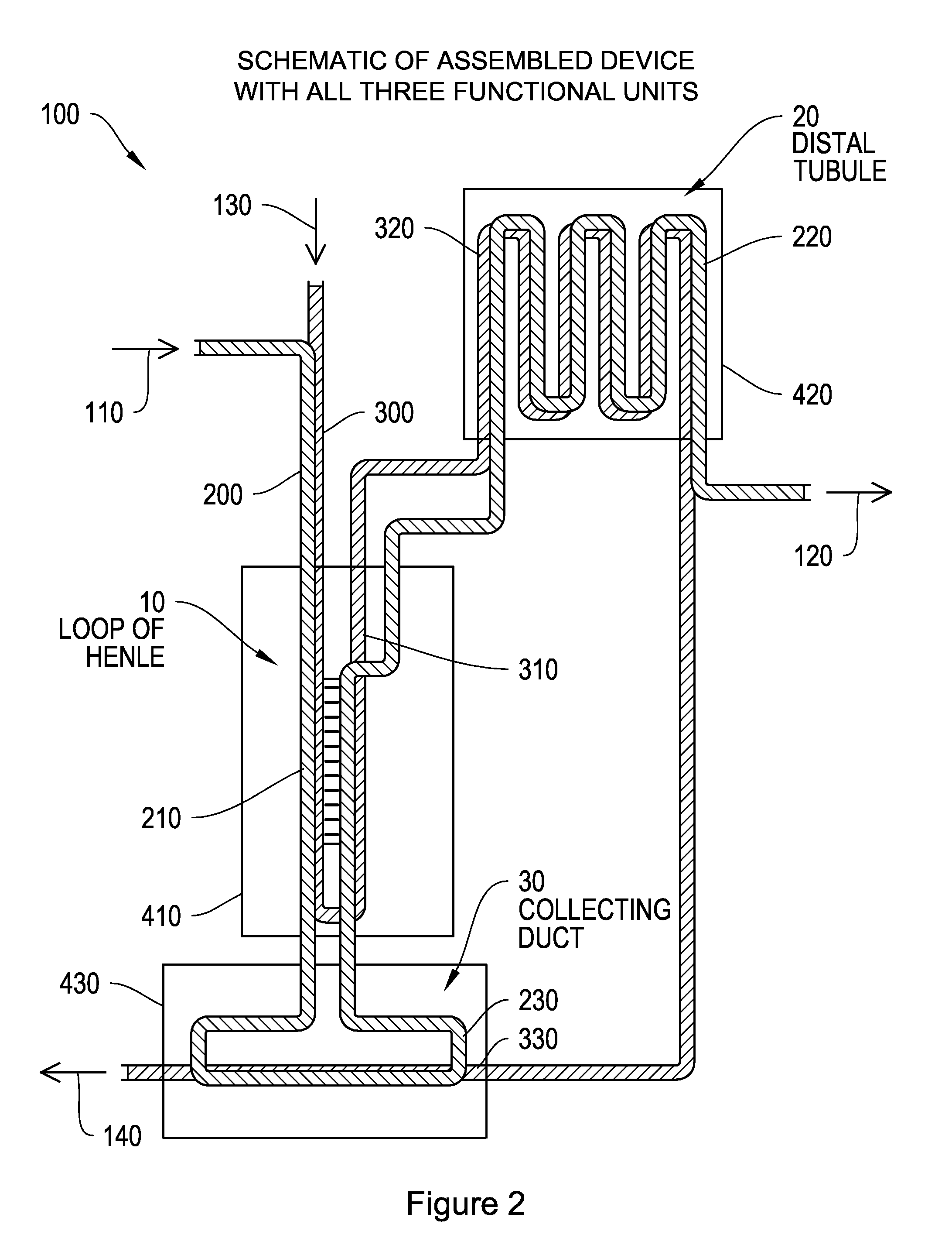 Systems, methods, and devices relating to a cellularized nephron unit