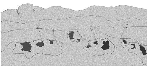 Oil and gas reservoir drilling trajectory determination method, device and storage medium