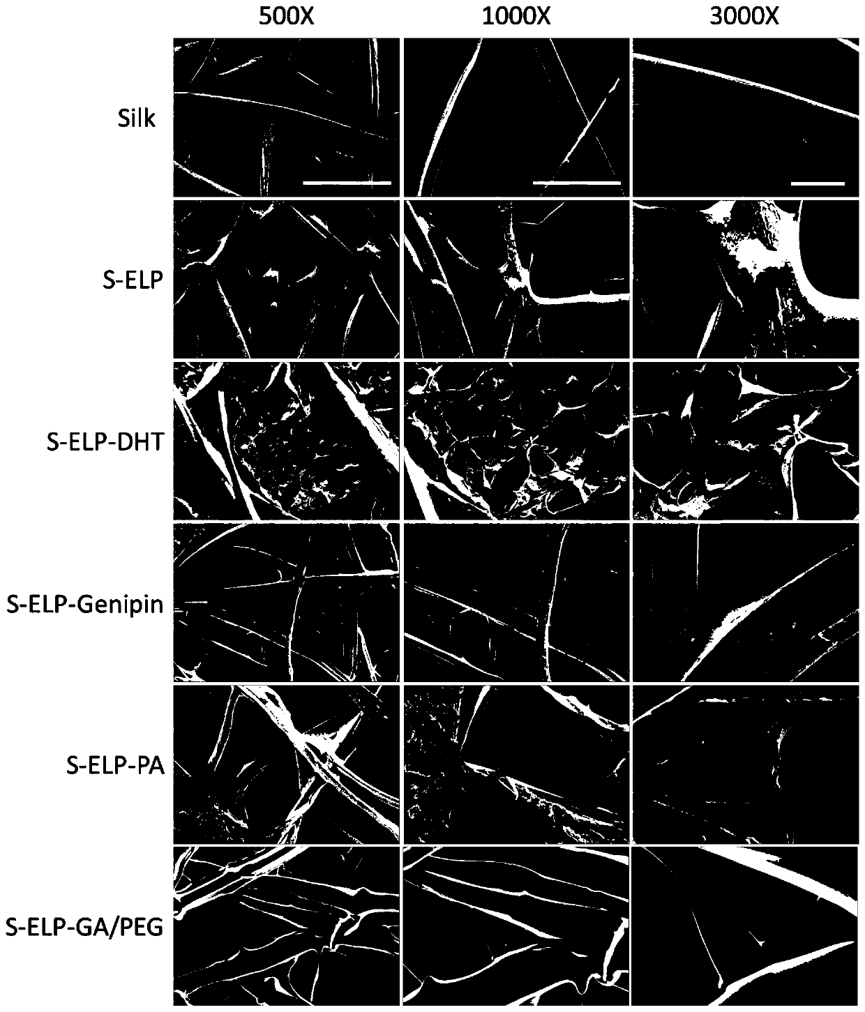 A kind of elastin-like silk fiber porous composite material and its application