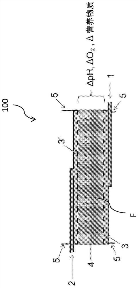 Stacked fixed bed bioreactor and method of use thereof