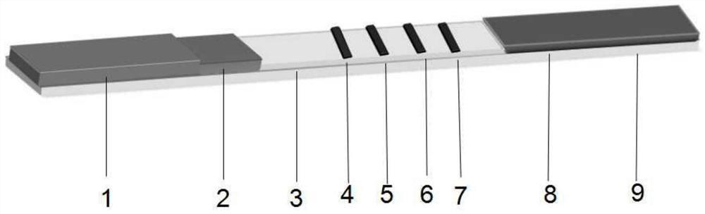 A Standard Antigen Diluent for Superparamagnetic Immunochromatography Chip