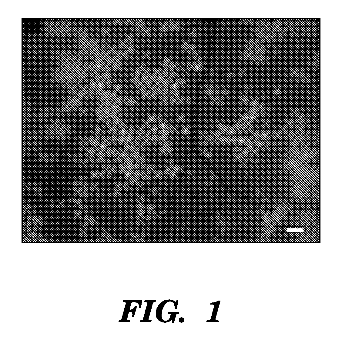 Compositions and methods for epithelial stem cell expansion and culture