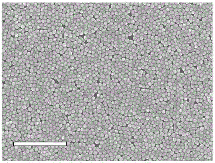 Surface-enhanced Raman scattering substrate material, preparation method and application thereof