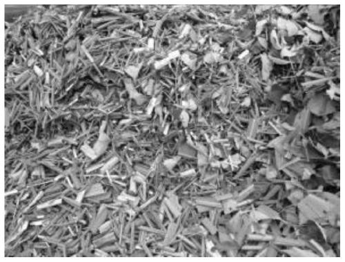 Earth surface organic plant residue composting process and application of earth surface organic plant residue composting