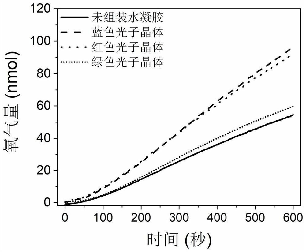 Method for improving light energy utilization rate of photosynthetic pigment by utilizing slow photon effect of photonic crystal