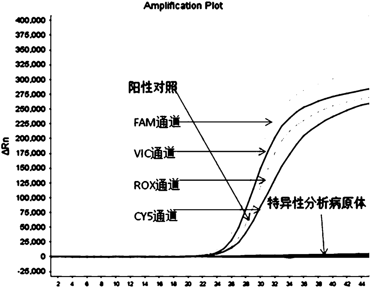 Nucleic acid composition for detecting HPVs (Human Papilloma Viruses) as well as application and kit of nucleic acid composition
