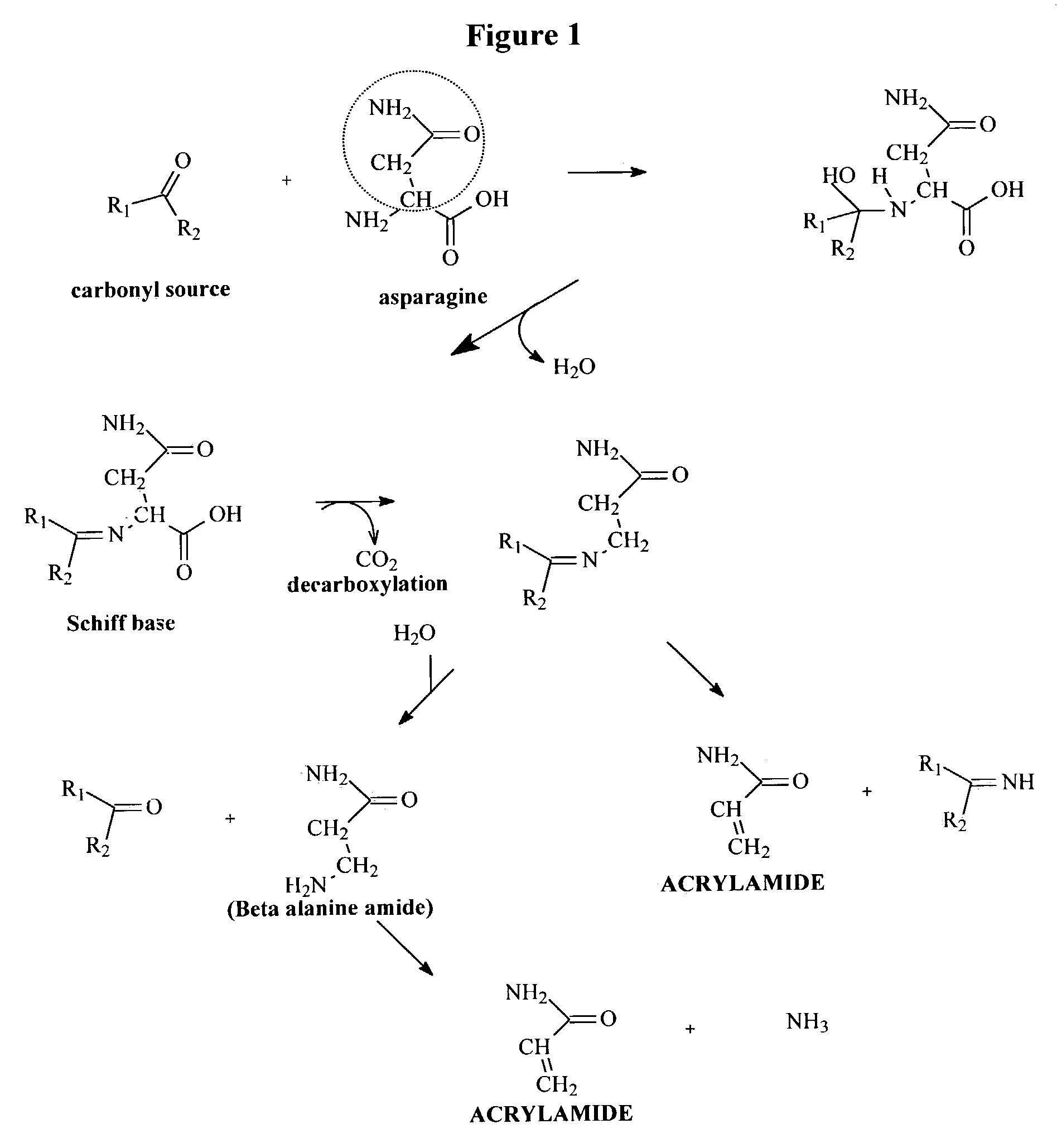 Method for reducing acrylamide in foods comprising reducing the level of reducing sugars, foods having reduced levels of acrylamide, and article of commerce