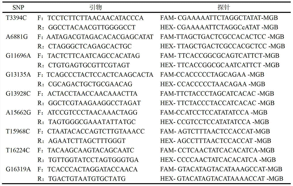 A mitochondrial DNA SNP marker associated with noa of unknown clinical cause and its application