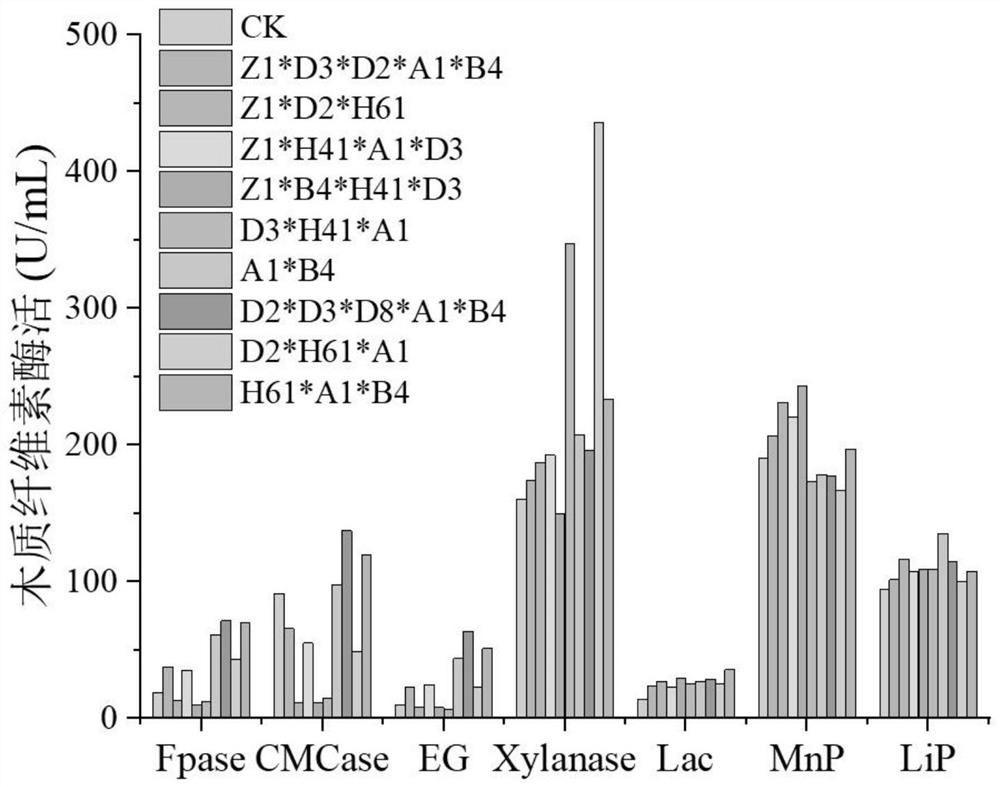 T-grade composite microbial inoculant as well as preparation method and application thereof