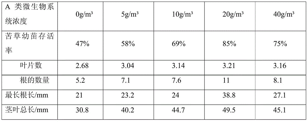 Method of adding microorganisms for promoting growth of common andrographis herbs