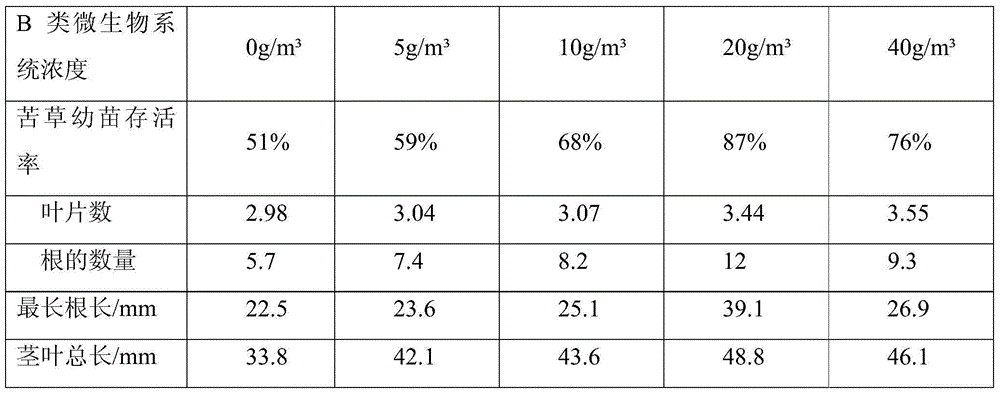 Method of adding microorganisms for promoting growth of common andrographis herbs