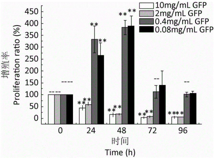 Extraction process and application of polysaccharide of grifola frondosa to preparation of medicament for repairing gastric mucosa damage