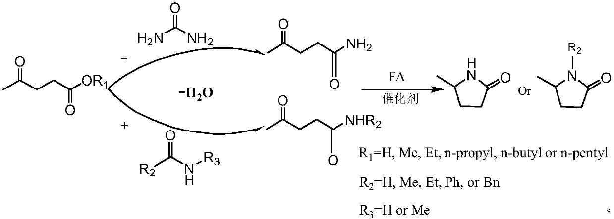 Synthesis method of 5-methyl-2-pyrrolidone or derivatives thereof