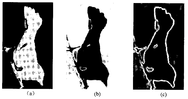 Interactive image segmentation correcting method based on geodesic active region models