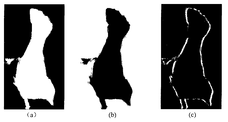 Interactive image segmentation correcting method based on geodesic active region models