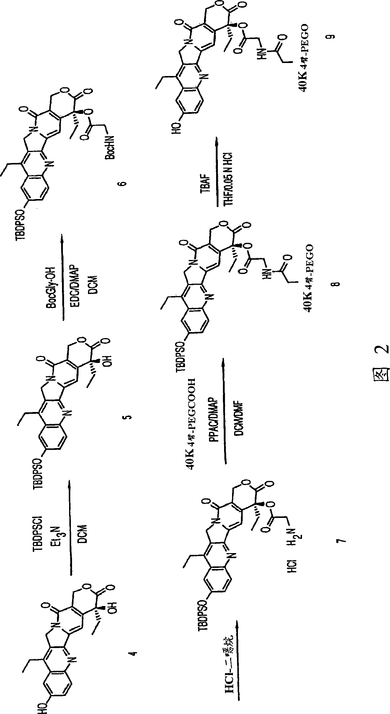 Multi-arm polymeric conjugates of 7-ethyl-10-hydroxycamptothecin for treatment of breast, colorectal, pancreatic, ovarian and lung cancers