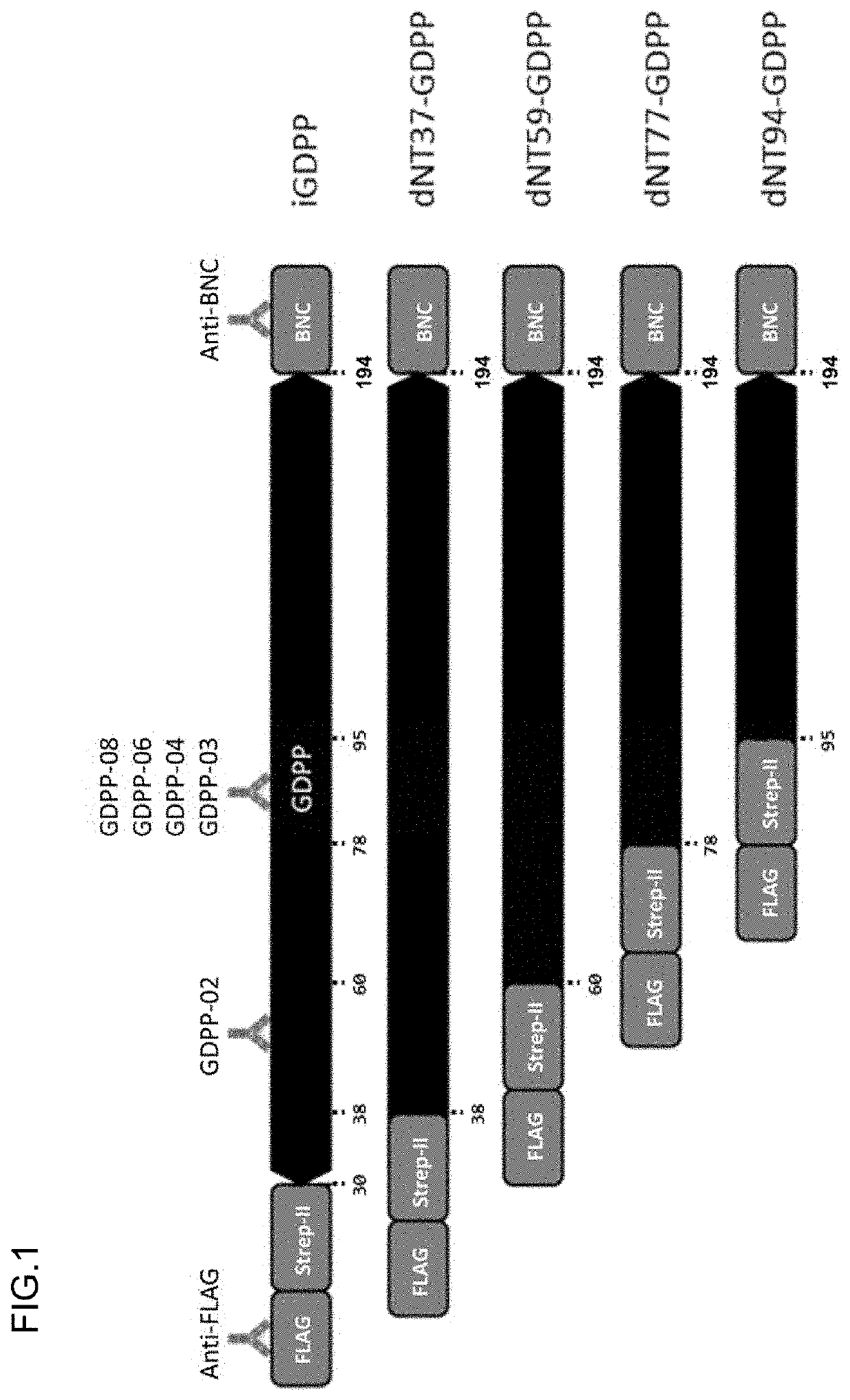 Methods for detecting cancers, and detecting reagent