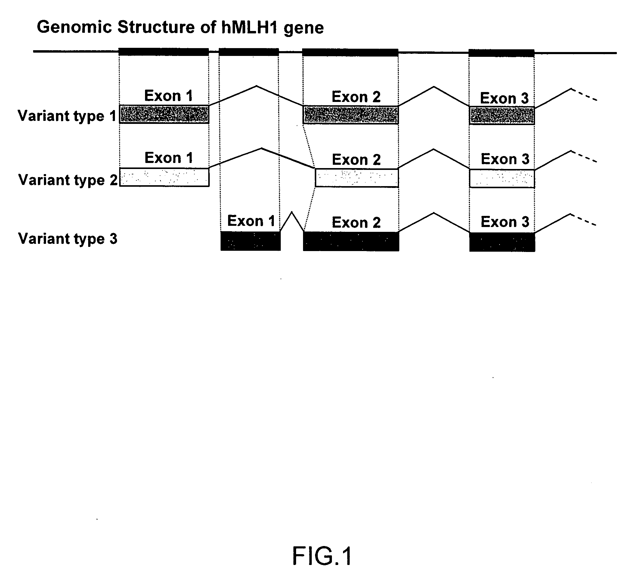 Method and kit for detection of microsatellite instability-positive cell