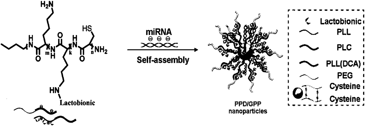 MiRNA-supported composite nanoparticle as well as preparation method and application thereof