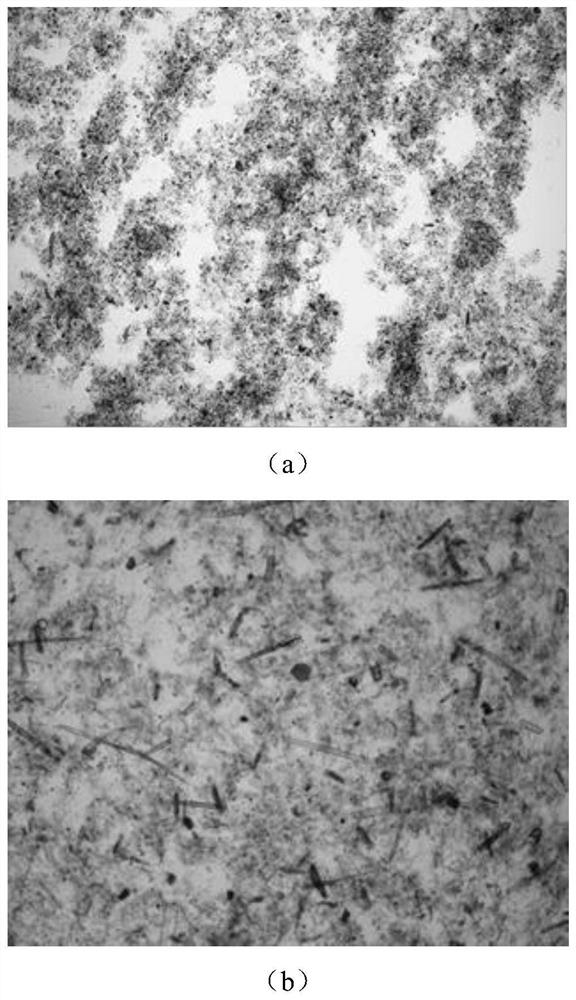 Biomass-based papermaking reinforcing agent prepared by taking agricultural residues as raw materials, and preparation method and application thereof